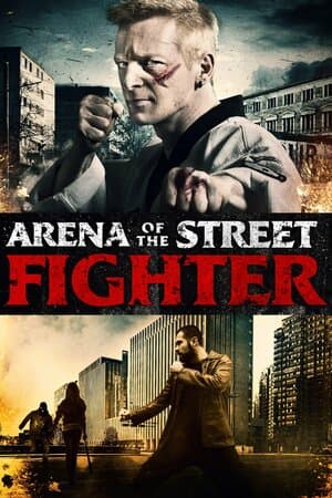 Arena of the Street Fighter poster art