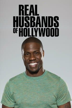 Real Husbands of Hollywood poster art