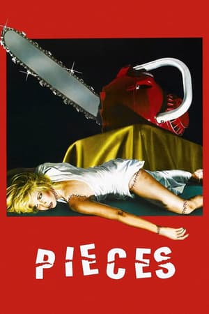 Pieces poster art