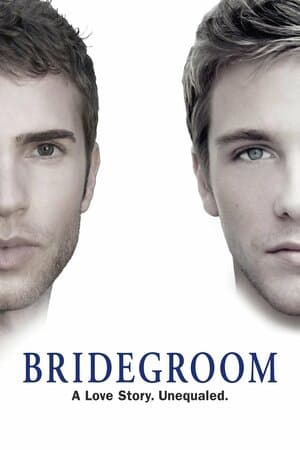 Bridegroom poster art