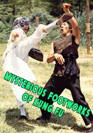 Mysterious Footworks of Kung Fu poster art