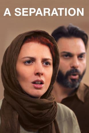 Nader and Simin, a Separation poster art
