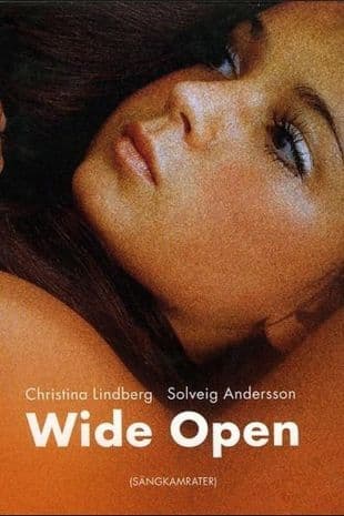 Sängkamrater poster art