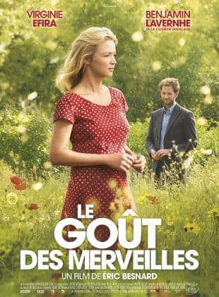 Le goût des merveilles poster art